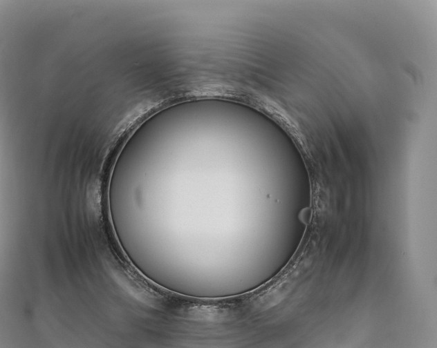 X0000110730298200906191531