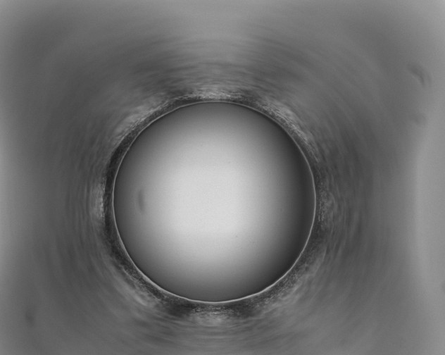 X0000110730299200906191531