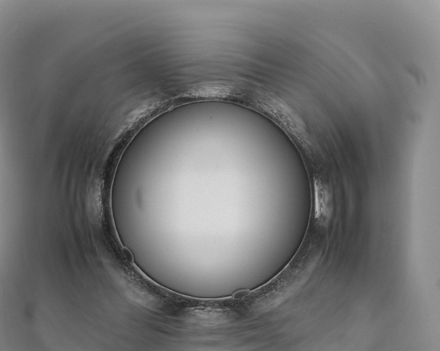 X0000110730300200906191531