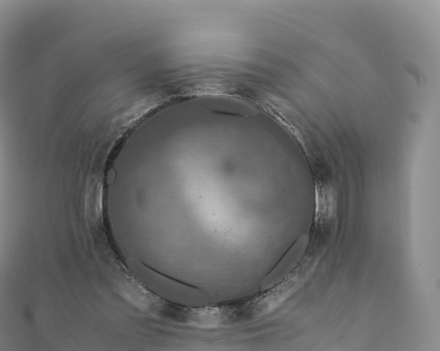 X0000110730301200906191531