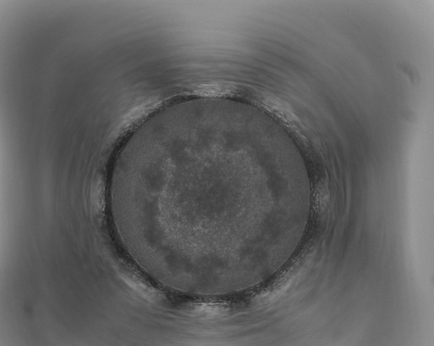 X0000110730303200906191531