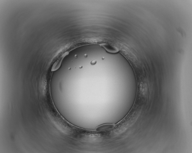 X0000110730304200906191531