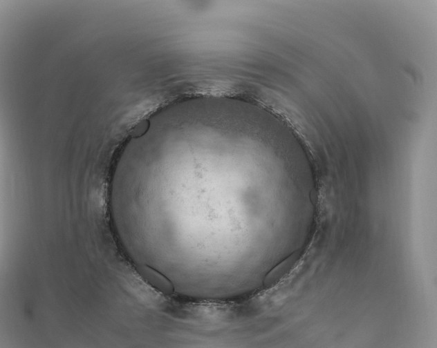 X0000110730305200906191531