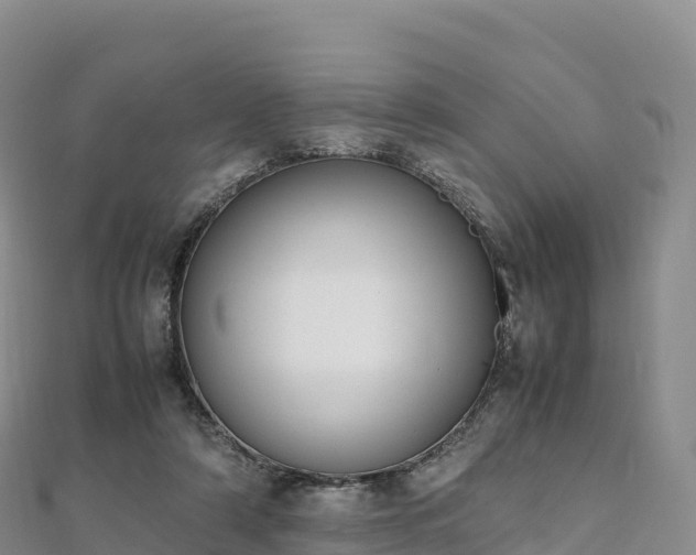 X0000110730306200906191531