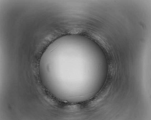 X0000110730307200906191531