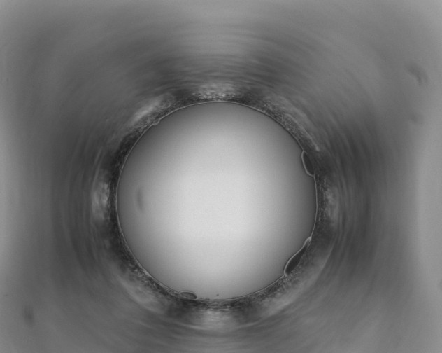 X0000110730308200906191531