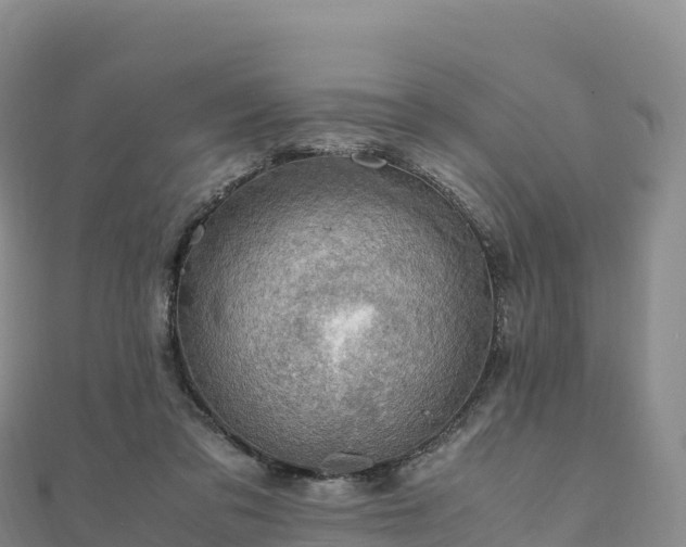 X0000110730309200906191531