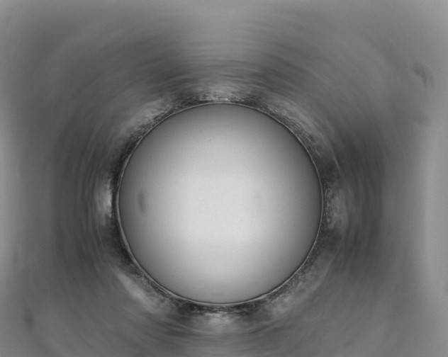 X0000110730310200906191531