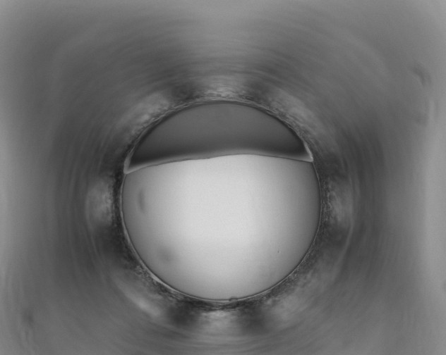 X0000110730312200906191531