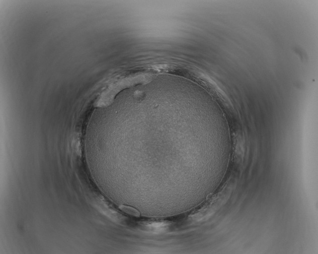 X0000110730313200906191531