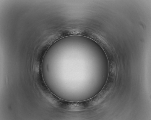 X0000110730315200906191531