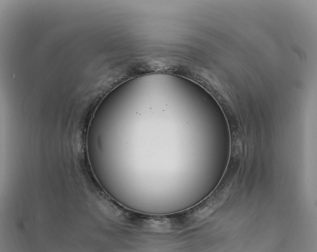 X0000110730317200906191531