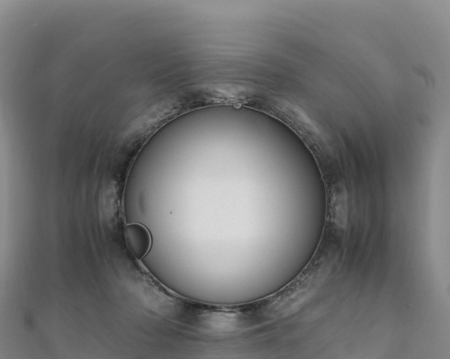 X0000110730318200906191531