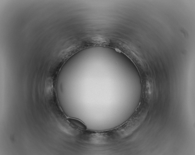 X0000110730320200906191531