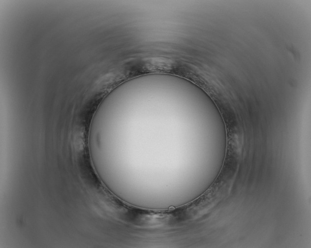 X0000110730323200906191531