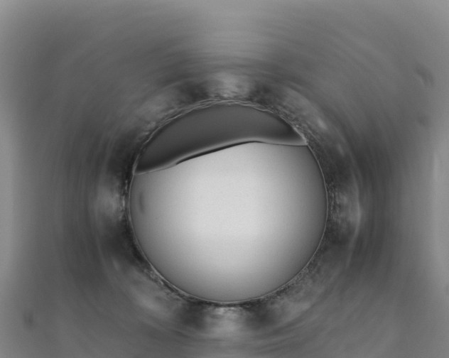 X0000110730324200906191531