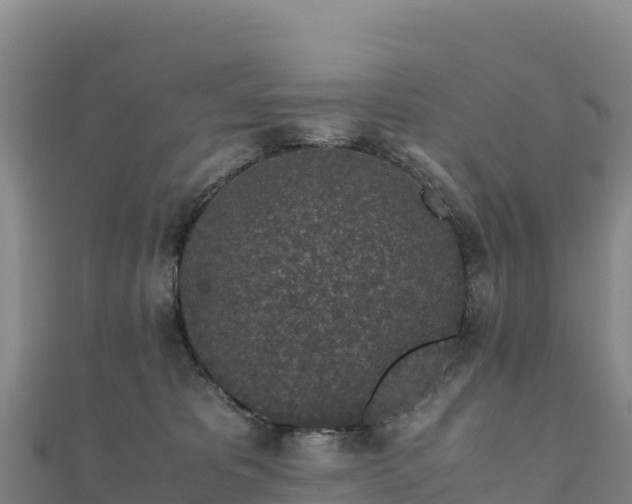 X0000110730325200906191531