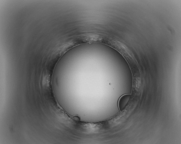 X0000110730326200906191531