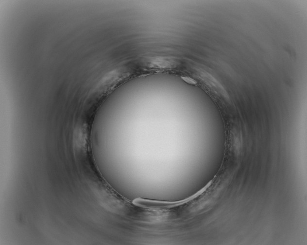 X0000110730328200906191531