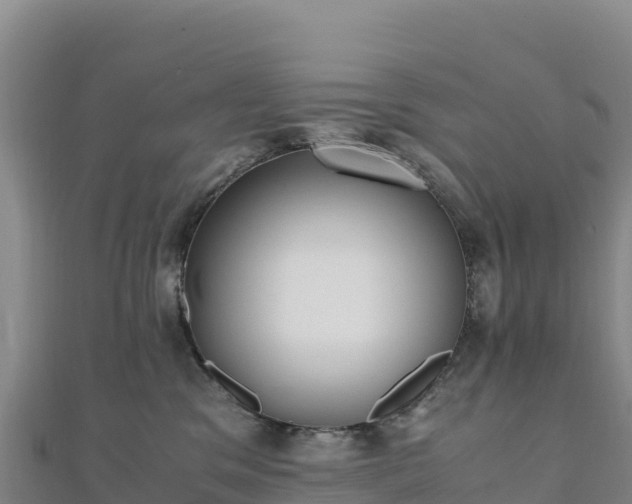 X0000110730329200906191531