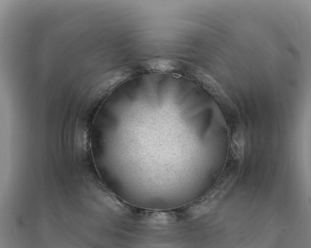 X0000110730330200906191531