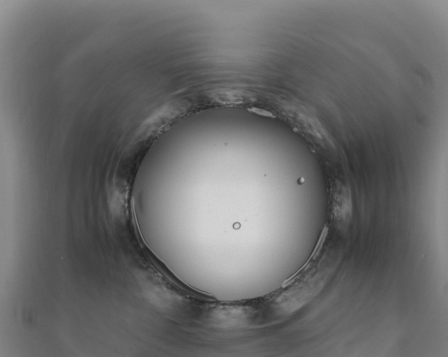 X0000110730332200906191531