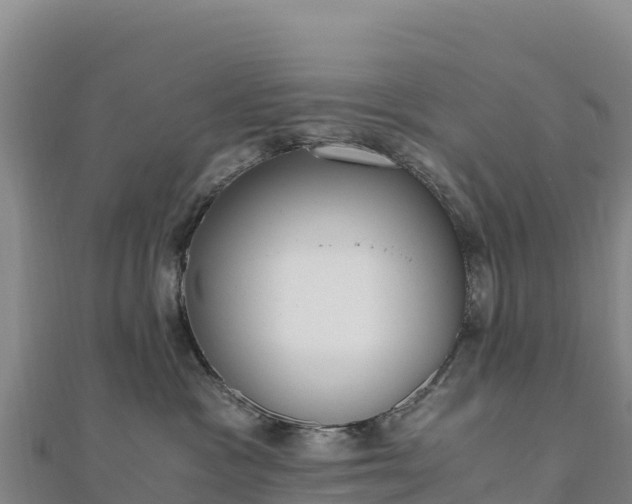 X0000110730333200906191531