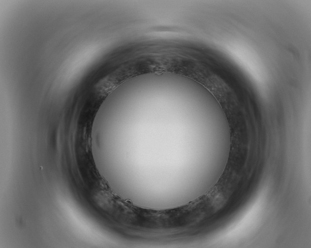 X0000110730334200906191531