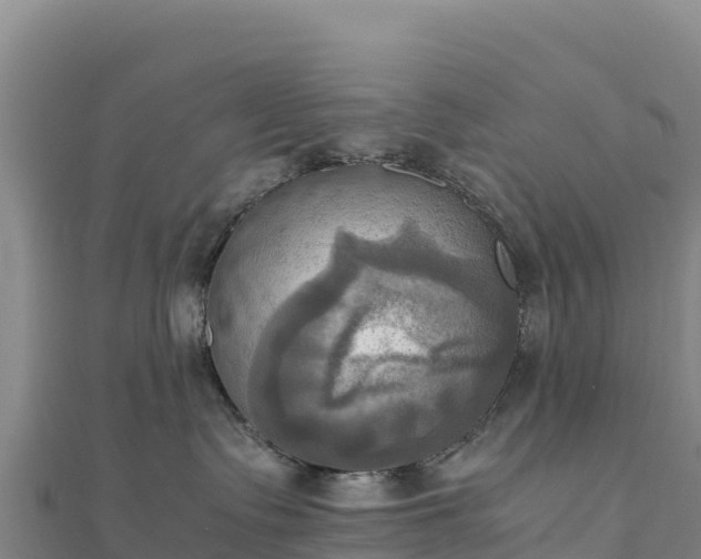 X0000110730335200906191531