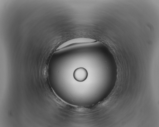 X0000110730336200906191531