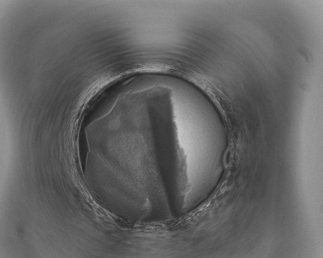 X0000110730337200906191530