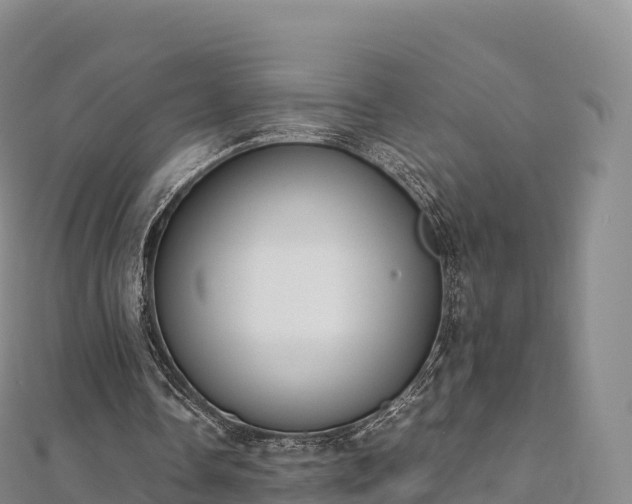 X0000110730338200906191530