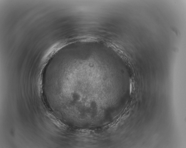 X0000110730339200906191530