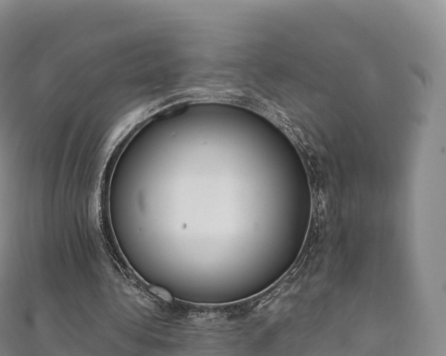 X0000110730340200906191530