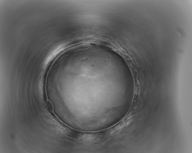 X0000110730341200906191530