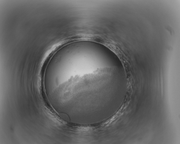 X0000110730342200906191530