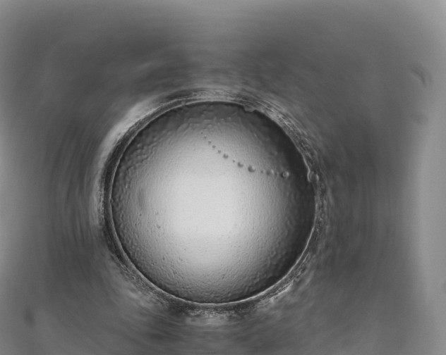 X0000110730343200906191530