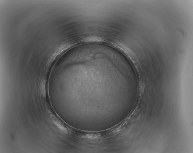 X0000110730345200906191530