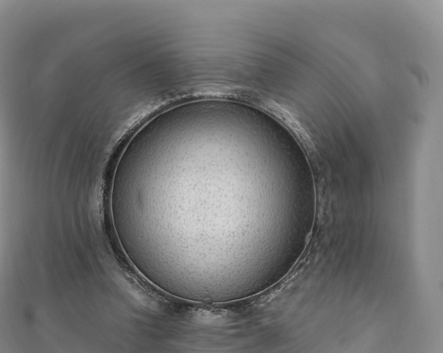 X0000110730346200906191530