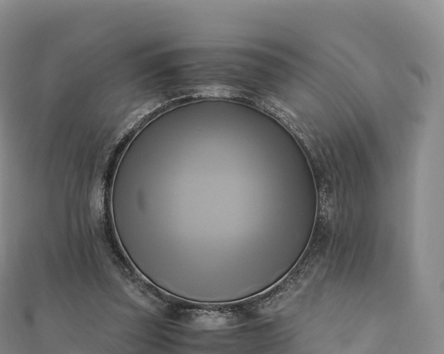 X0000110730347200906191530