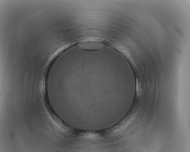 X0000110730348200906191530