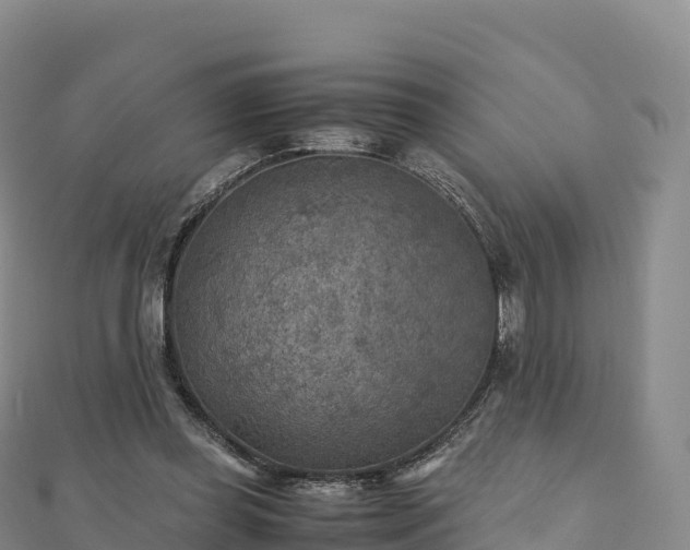 X0000110730349200906191530