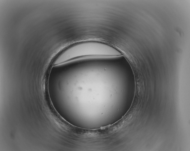 X0000110730350200906191530