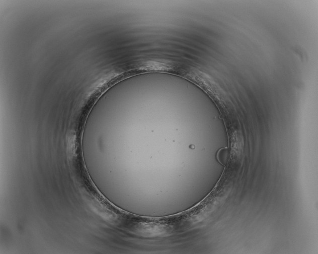 X0000110730351200906191530