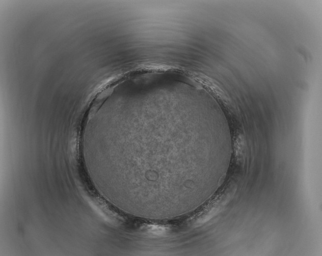 X0000110730352200906191530