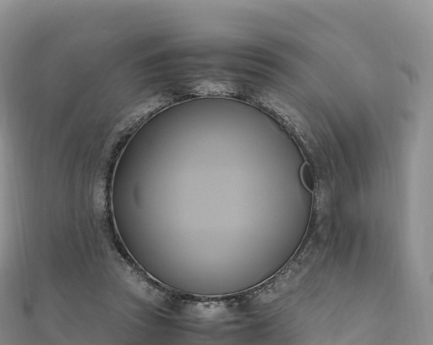 X0000110730353200906191530