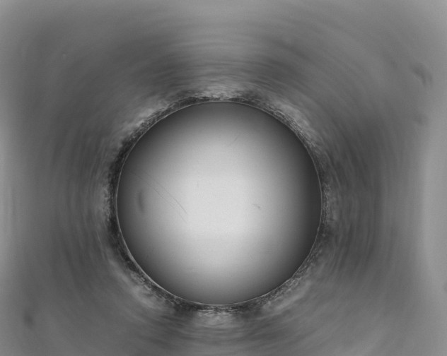 X0000110730354200906191530