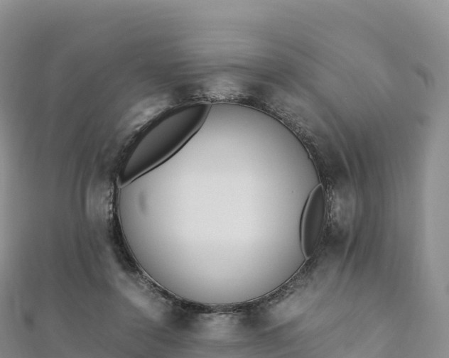 X0000110730356200906191530