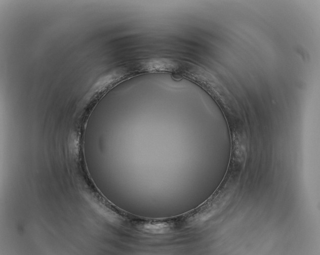 X0000110730357200906191530