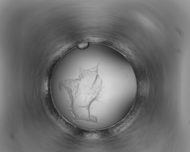 X0000110730358200906191530